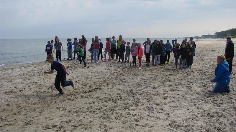 IMG_2962 (Copy)